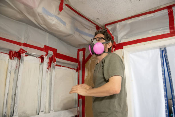 Princeton, NJ Mold Inspection, Removal & Remediation Company